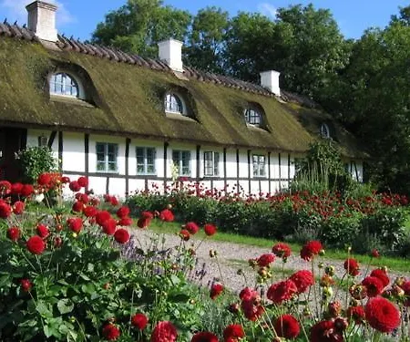 Albertsgaard Bed & Breakfast Norre Alslev