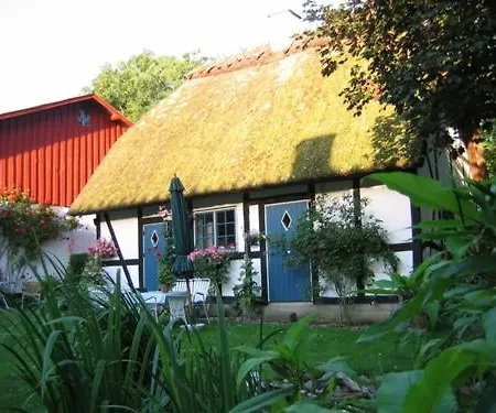 Albertsgaard Bed & Breakfast